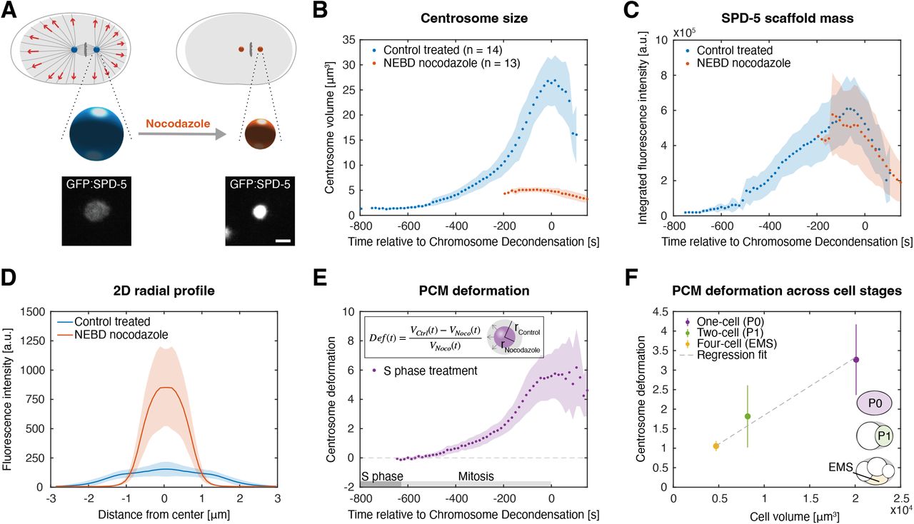 Centrosome Physics