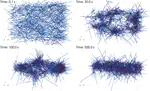 Connecting macroscopic dynamics with microscopic properties in active microtubule network contraction